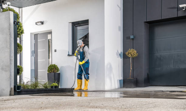 Best Oil and Grease Removal from Surfaces in East Highland Park, VA